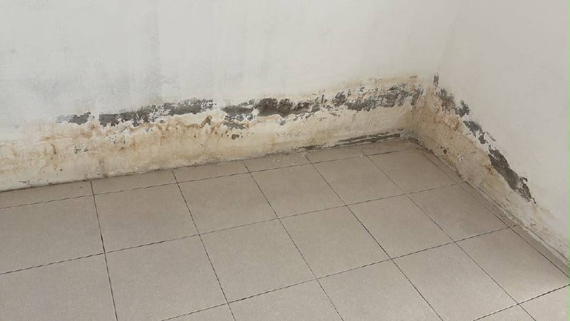 BANDAR PERMATA LUNAS 📍 | TERES SETINGKAT | CASHBACK RM60,000 | ZERO DEPOSIT | BOOKING 1K 19