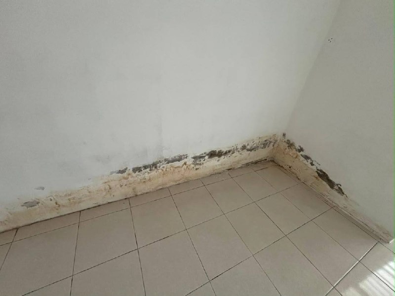 BANDAR PERMATA LUNAS 📍 | TERES SETINGKAT | CASHBACK RM60,000 | ZERO DEPOSIT | BOOKING 1K 21