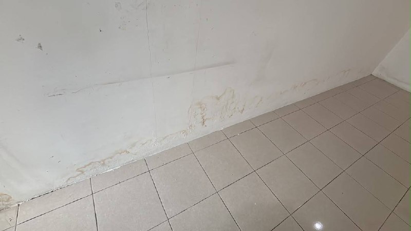 BANDAR PERMATA LUNAS 📍 | TERES SETINGKAT | CASHBACK RM60,000 | ZERO DEPOSIT | BOOKING 1K 4