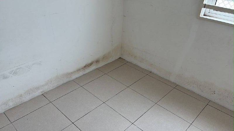 BANDAR PERMATA LUNAS 📍 | TERES SETINGKAT | CASHBACK RM60,000 | ZERO DEPOSIT | BOOKING 1K 10