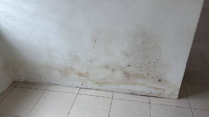 BANDAR PERMATA LUNAS 📍 | TERES SETINGKAT | CASHBACK RM60,000 | ZERO DEPOSIT | BOOKING 1K 11